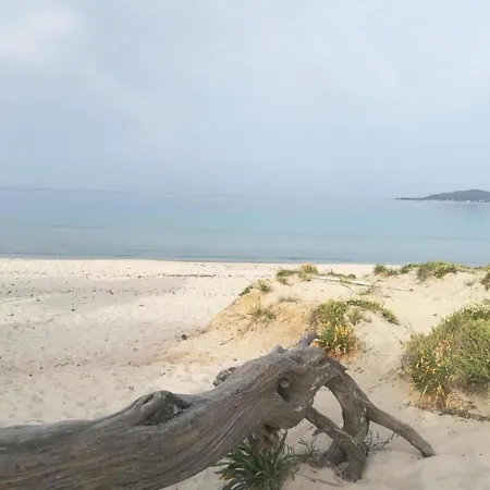 Casa Al Mare Con Giardino Hébergement de vacances