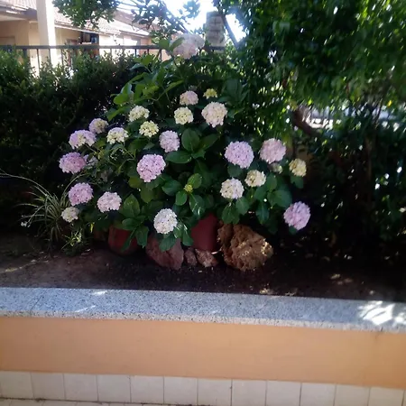 Casa Al Mare Con Giardino Holiday home